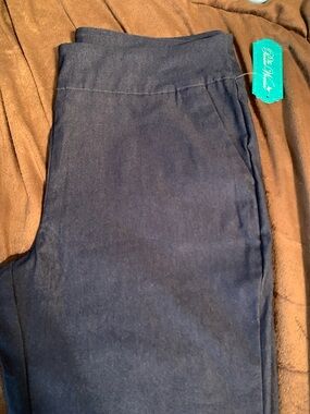 The Pioneer Woman Dark Navy Stretch Jeggings